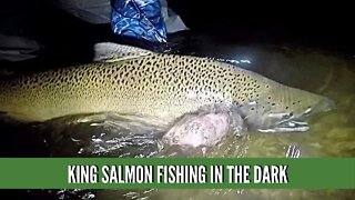 King Salmon Fishing In The Dark / Michigan King Salmon Fishing At Night / Salmon Fishing Videos