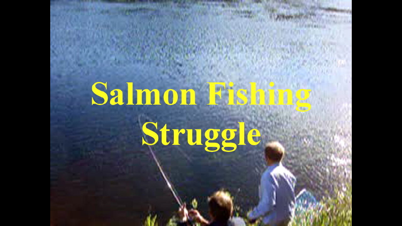 Salmon Fishing Struggle