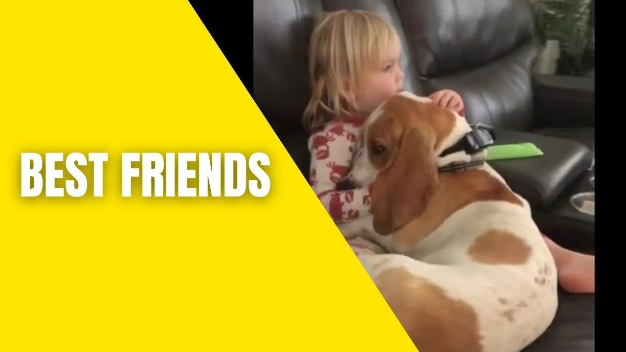 What a cute little boy and basset hound are really best friends
