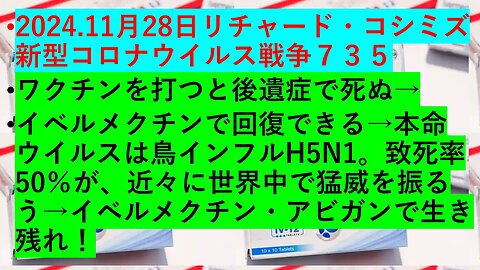 2024.11月28日リチャード・コシミズ新型コロナウイルス戦争７３５