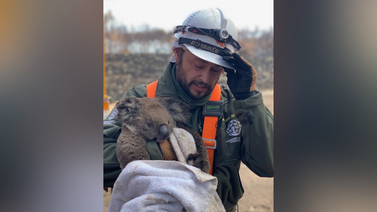 Las Vegas man helps rescue animals from Australia fires