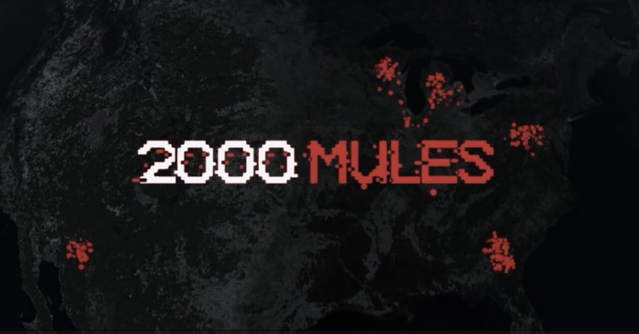 2000 Mules – Zusammenfassung von Dinesh D’Souzas Film zur Wahl 2020