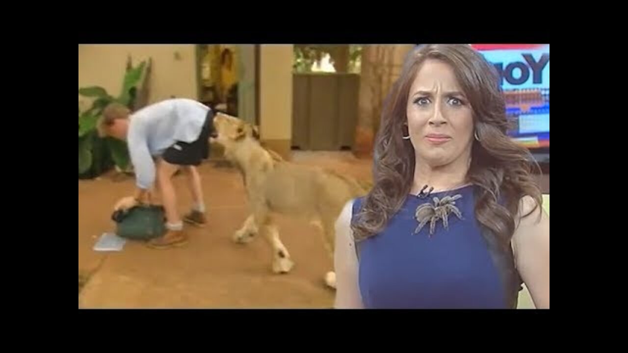 FUNNY ANIMAL NEWS BLOOPERS 2020 - BEST ANIMAL NEWS FAILS PART2