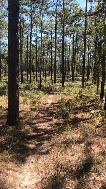 Paisley Bicycle Trail
