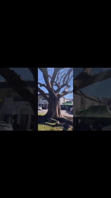 Respect The Hustle But Not Ones Who Hustle Others