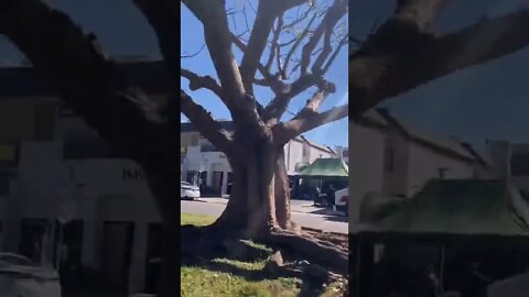 Respect The Hustle But Not Ones Who Hustle Others