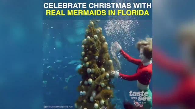 Christmas with mermaids at Weeki Wachee Springs | Taste and See Tampa Bay