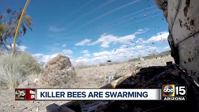 Beekeeper says killer bees are swarming earlier