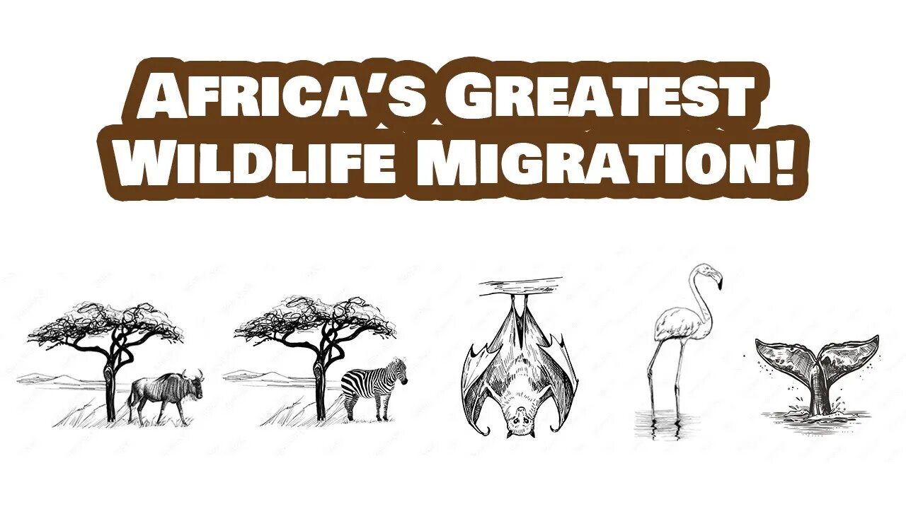 Africa's Greatest Wildlife Migration: Where Can You Experience Them?