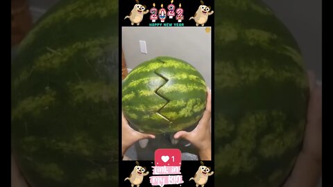 38_😂🐶😂 Baby Dogs - Cute and Funny Dogs Video 😂🐶😂 (2022)