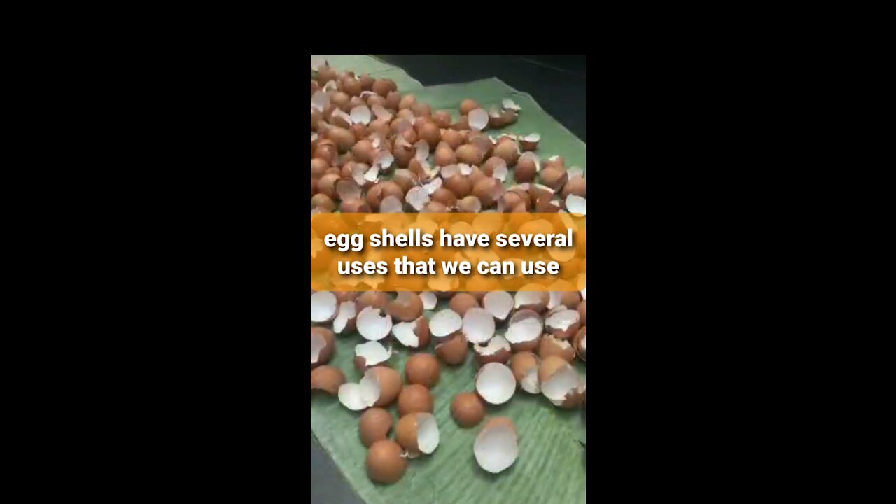 Egg shells for anything