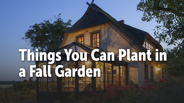 Things You Can Plant in a Fall Garden