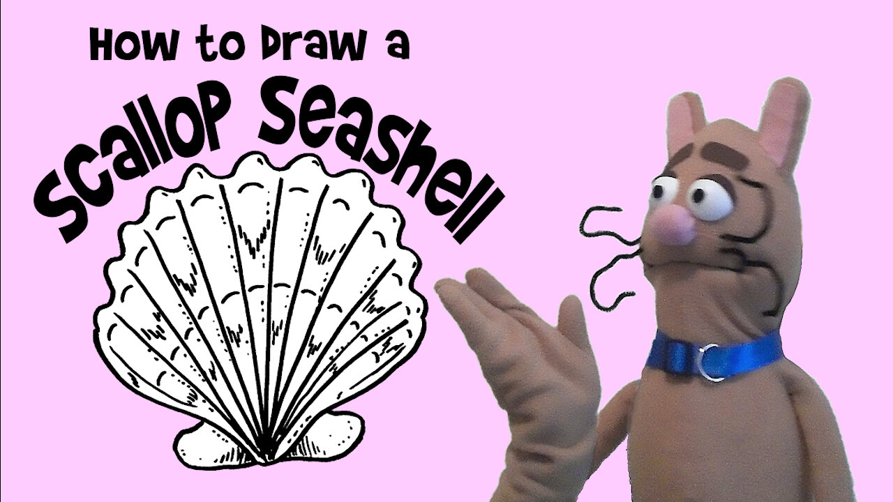 How to Draw a Scallop Seashell