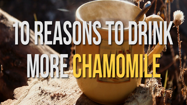 10 Reasons to Drink More Chamomile