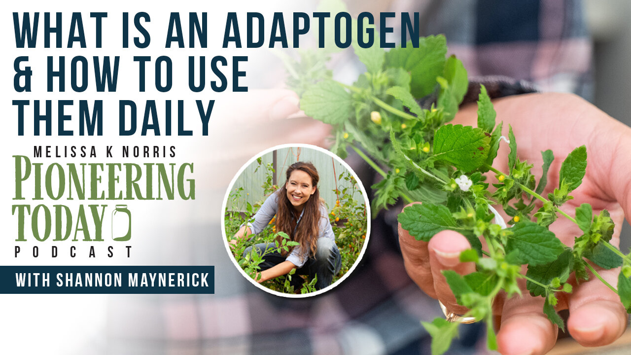 EP 404: What is an Adaptogen & How to Use Them Daily