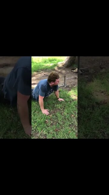 Frilled Neck Lizard Man. Only in Australia 😆 😂