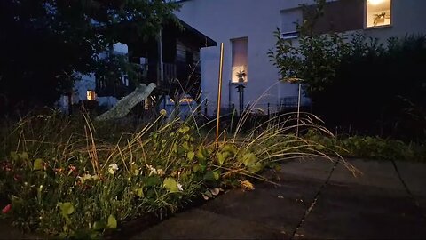 Highlight 8:38:53 – 8:43:53 von Silent Long LIVE for wh update in the garden in the rain @TravelGeor