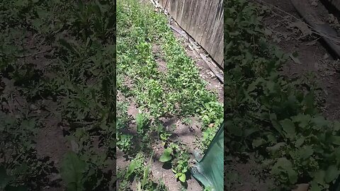 moms outdoor update