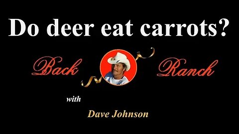 Do deer really eat carrots?