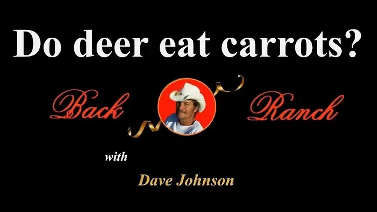 Do deer really eat carrots?