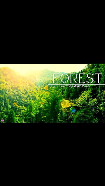 Beautiful Relaxing Music for Stress Relief Meditation Music, Sleep Music, Study Music #shorts