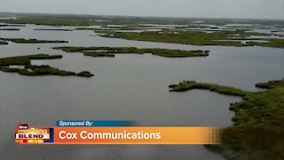 Cox Communications - Ducks Unlimited