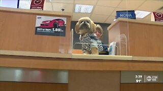 Credit union opens up their doors to pets during pandemic