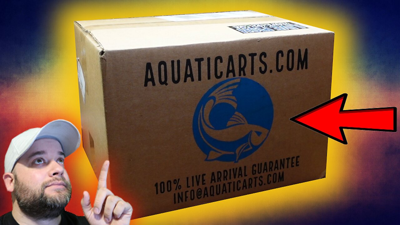 Unboxing Rare Fish from Aquatic Arts