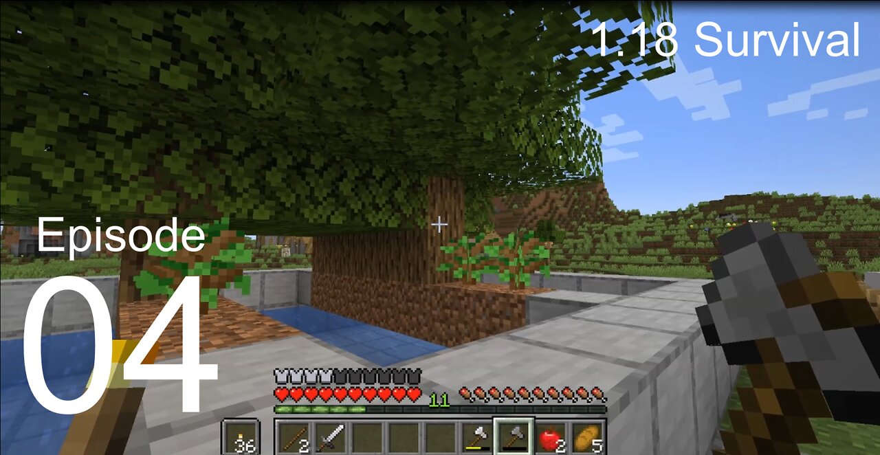Minecraft 1.18 Survival Let's Play - Tree Farm!
