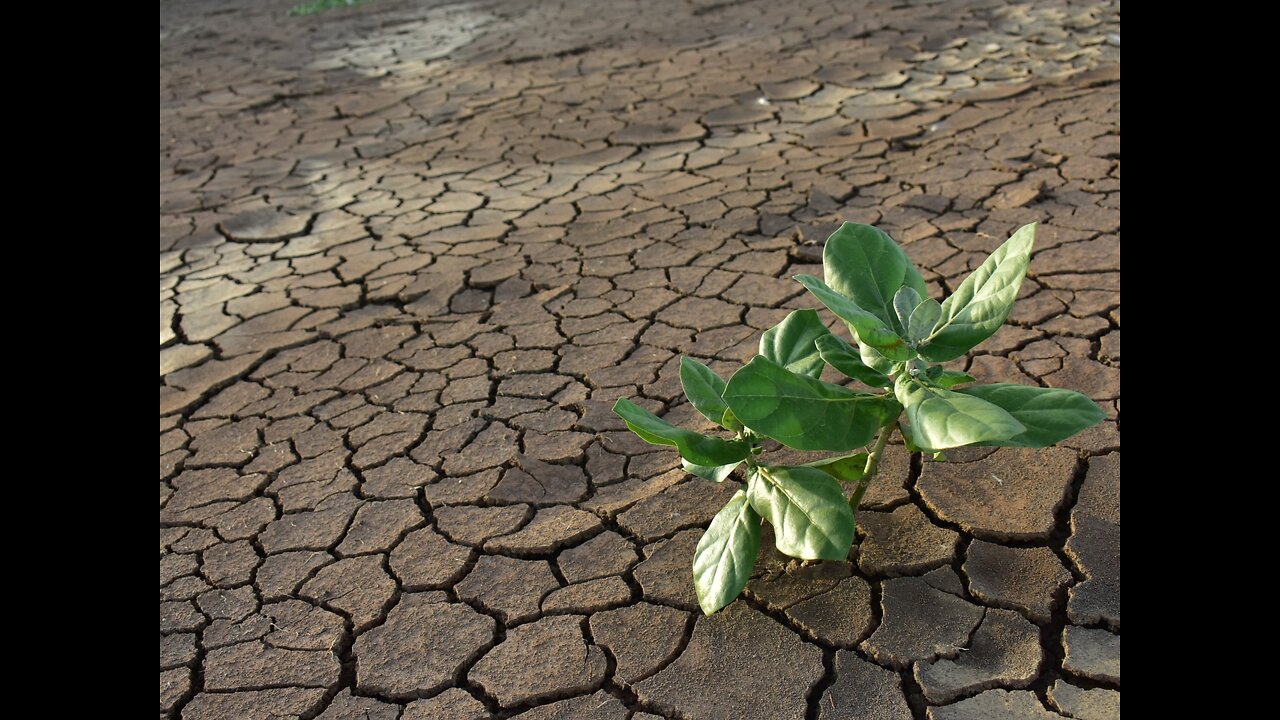 美元末日，糧食短缺，必須儲糧