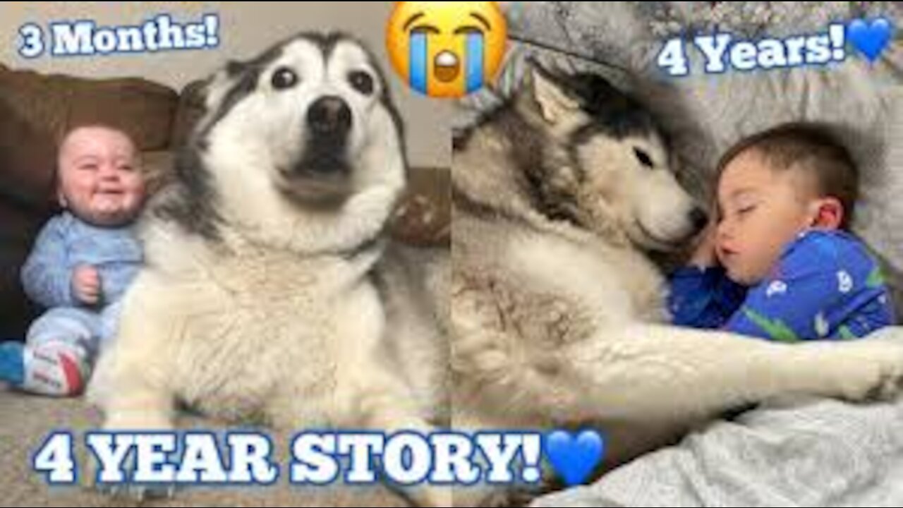 The Full 4 Year Story Of My Husky & Baby Becoming Best Friends!! [WITH MUSIC!]