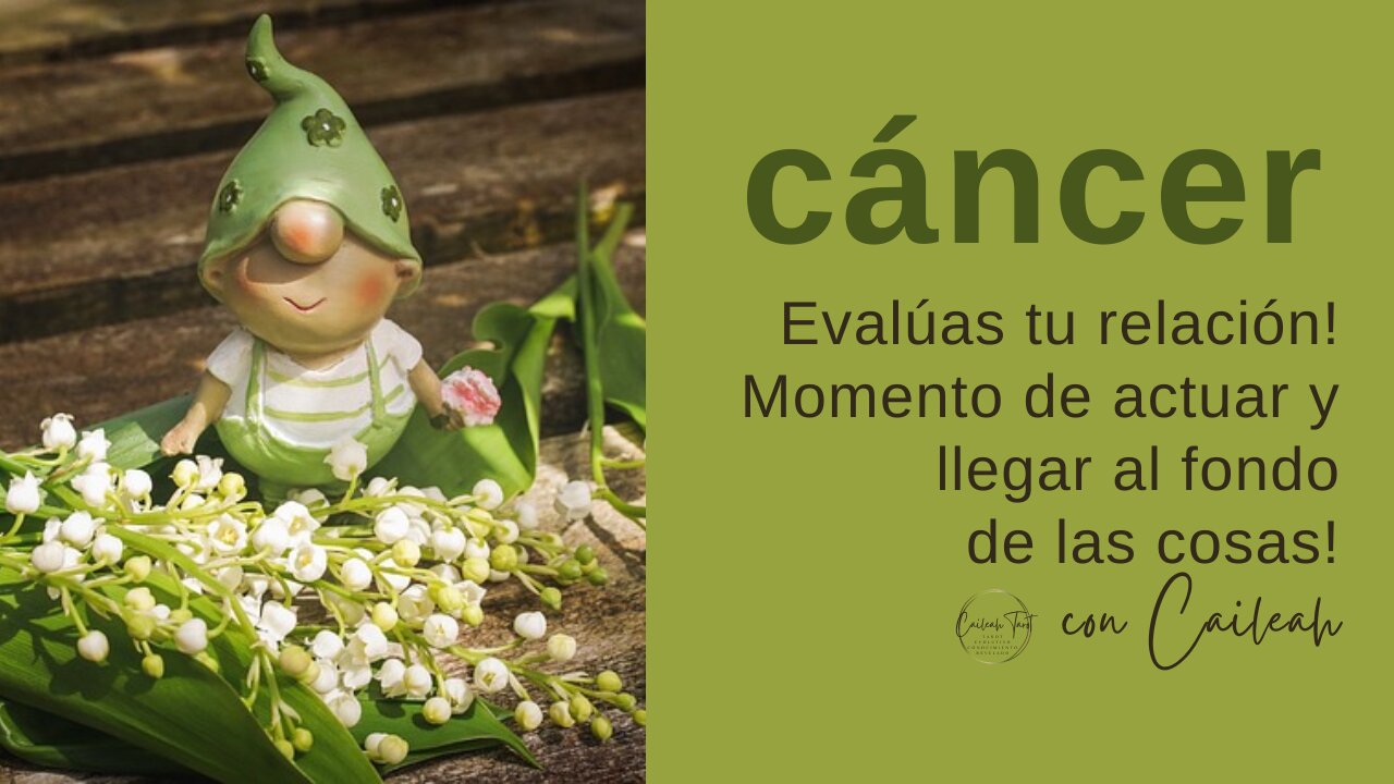 Cáncer ♋ Evalúas tu relación! Momento de actuar y llegar al fondo de las cosas!