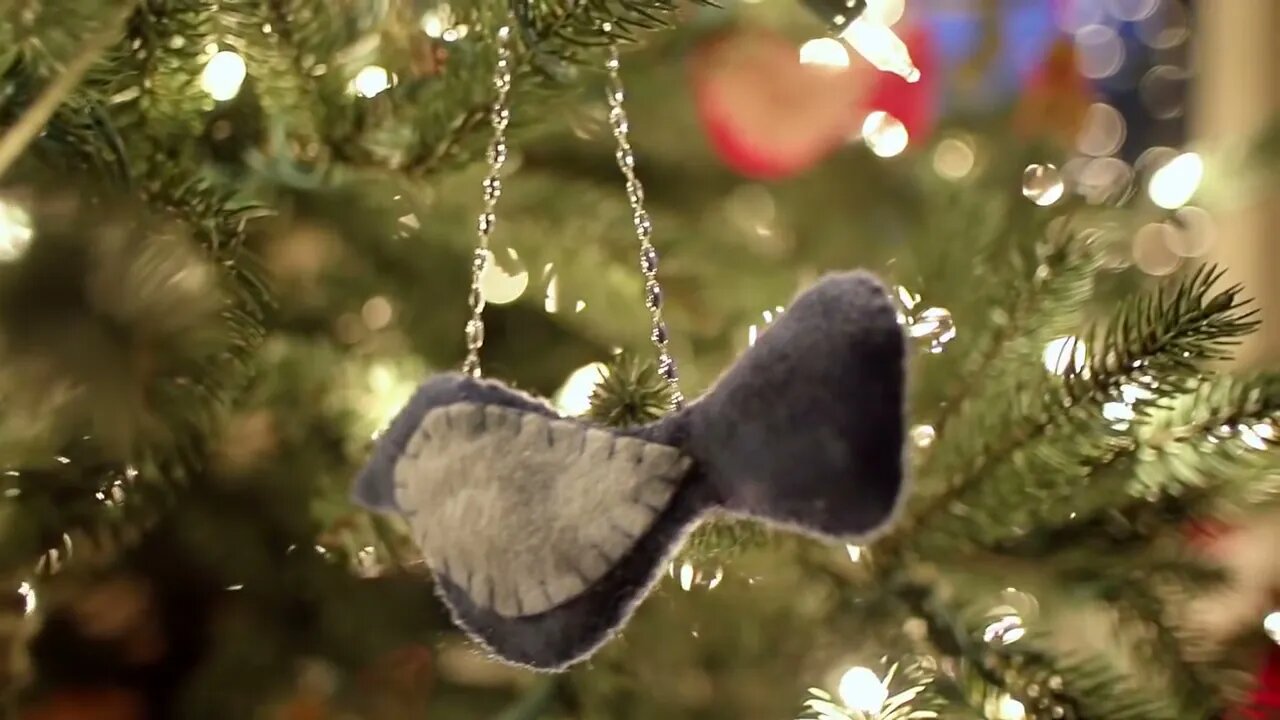 Beachfront B Roll Christmas Tree Slow Pan Free to Use HD Stock Video Footage