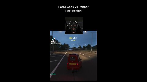 Forza Horizon Cops Vs Robbers | Peel Edition