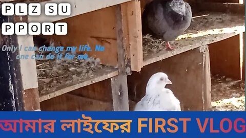 লাইফের First vlog @ManojDey @vijayriyavlogs4906 @souravjoshivlogs7028