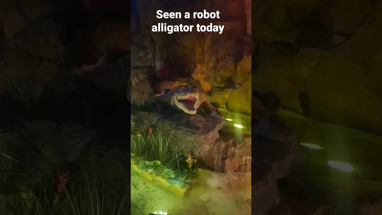 seen a robot alligator today