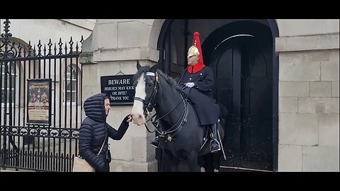 Horse nudges her in the face #horseguardsparade