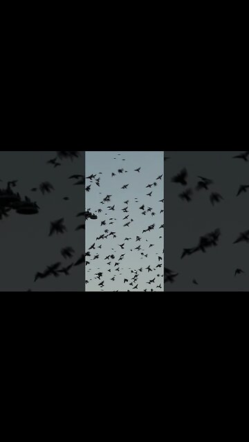 🍿‼️” Out driving around and saw this ” 👏