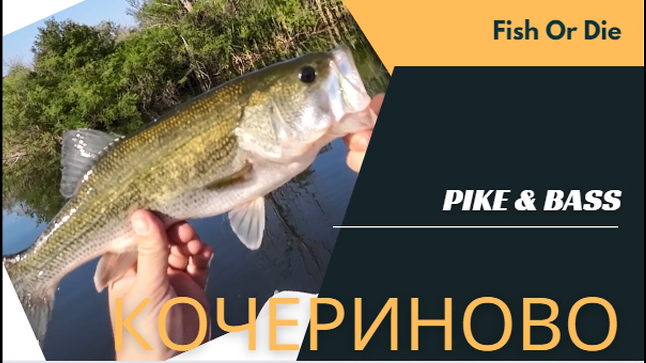 Щука и Бас на Кочериново - Bass and Pike at Kocherinovo lake