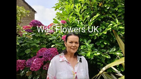 Sunday 2nd July Quiz Night