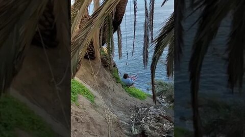 Amazing Hawaii Tiktok finndrozjock