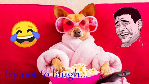 New Funny Animals 😂 Funniest Cats and Dogs Videos 😺🐶