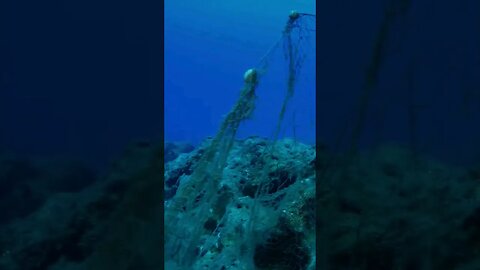 Dalış bıçağına belki bir kez ihtiyacınız olacak o an yanınızda olması hayati bir önem taşır. #shorts