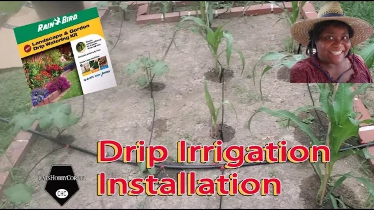 Water Drip Irrigation - 24Jun2022