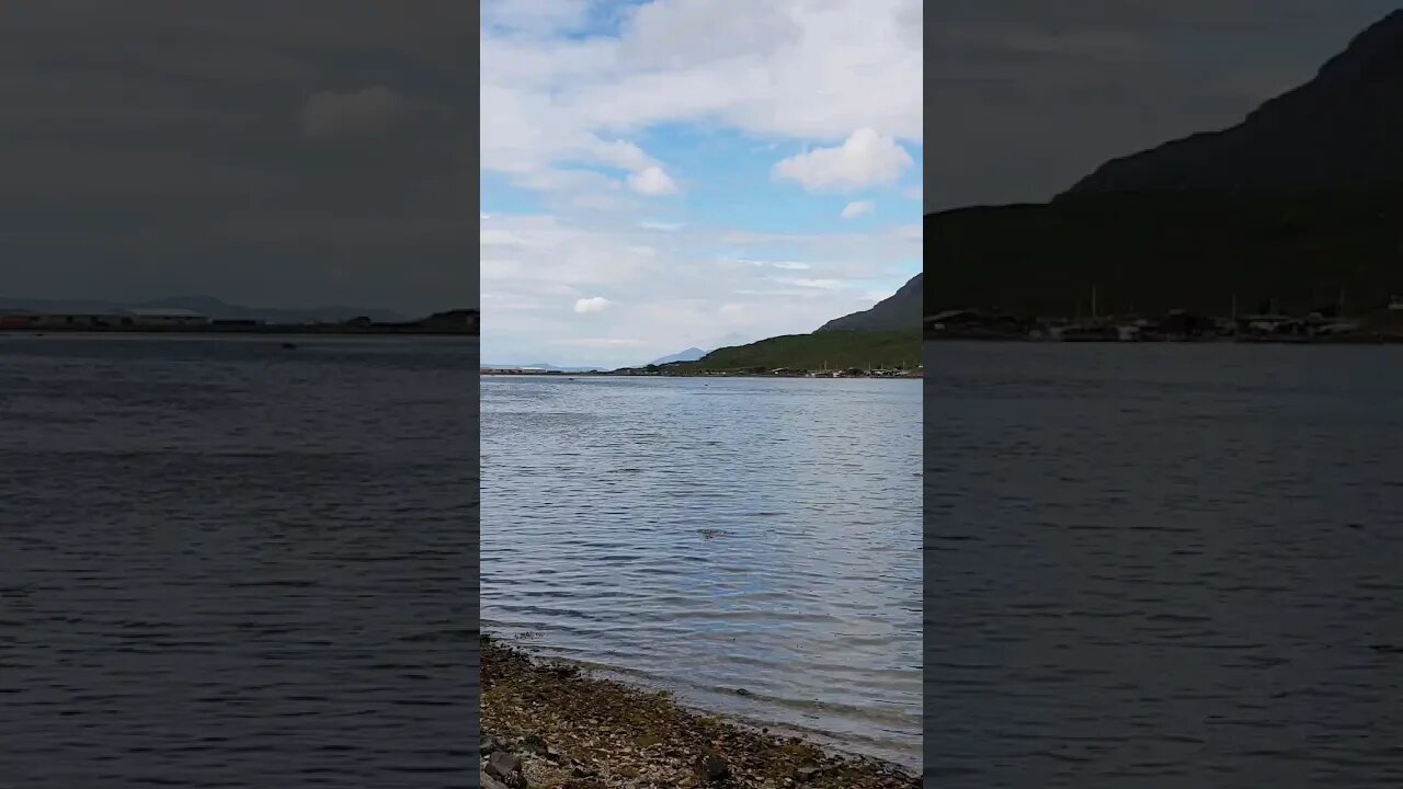 Loch Kishorn Applecross Scotland #shorts #scotland #relaxing