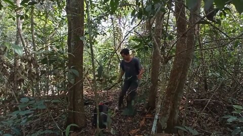 solo survival __ membangun shelter, masak, makan,eksplor, dan tidur nyenyak di hutan _2