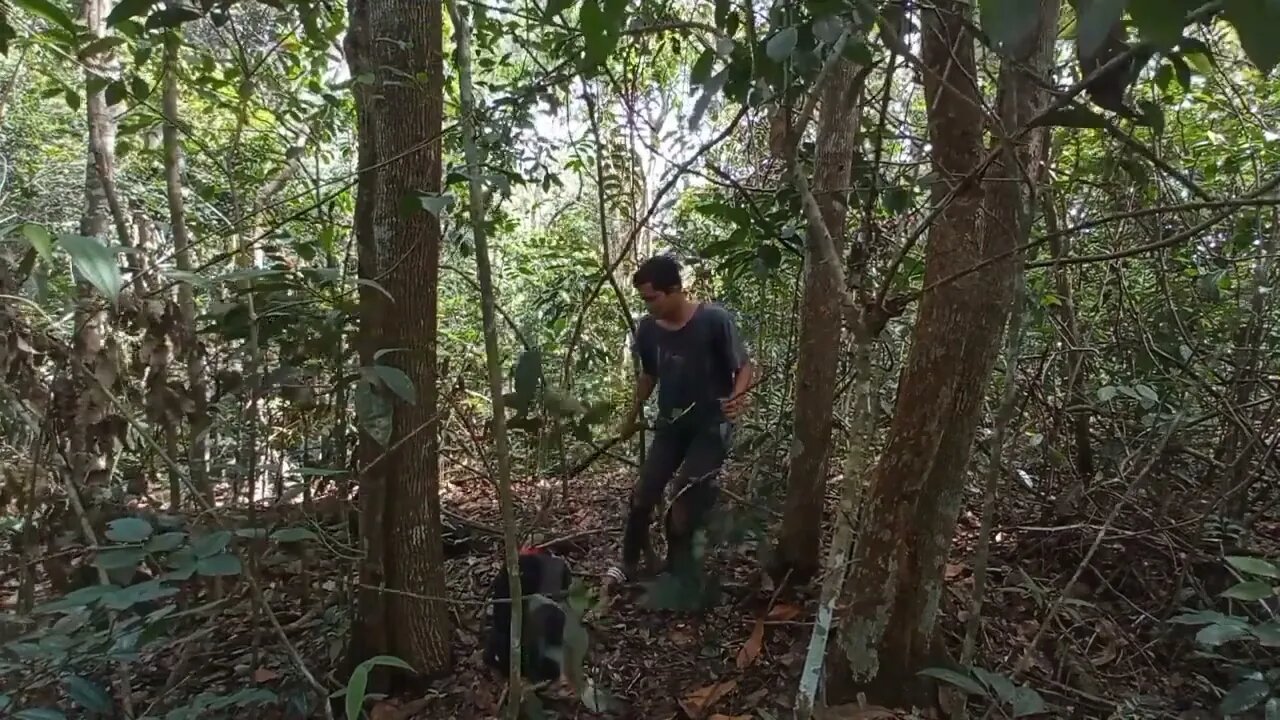 solo survival __ membangun shelter, masak, makan,eksplor, dan tidur nyenyak di hutan _2