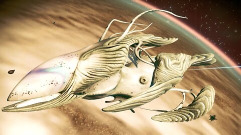 No Man's Sky - The Final Oikhadyge - Living Ship Location