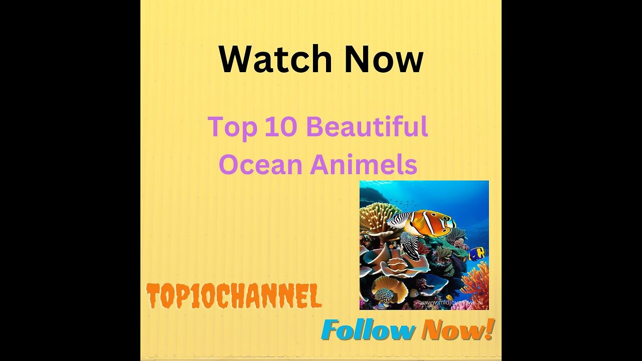 Top 10 Beautiful Animals of Sea || Top 10 Video || Top10Channel