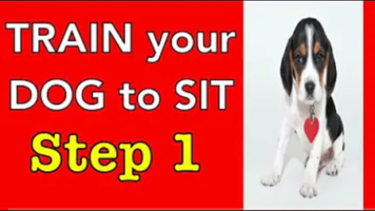 How to train your dog (step -1 )